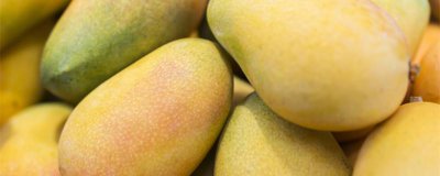 ​芒果有几个品种